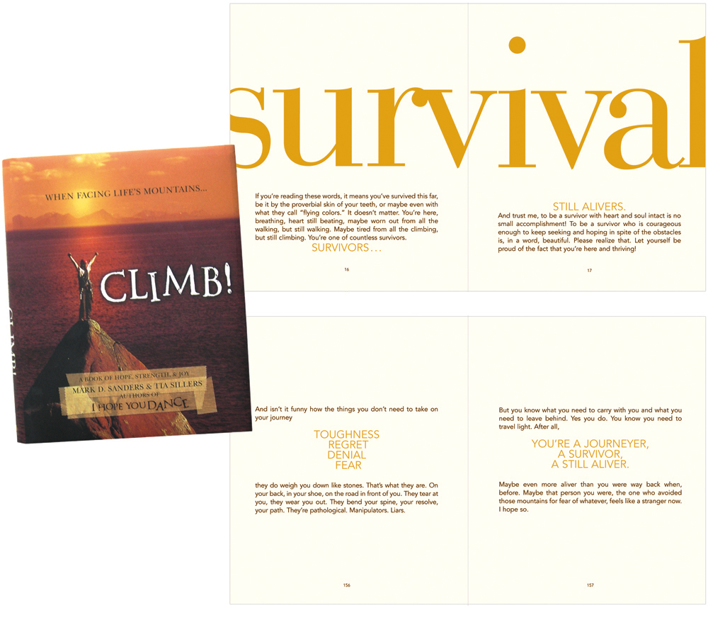 thedesigndesk_ClimbBook